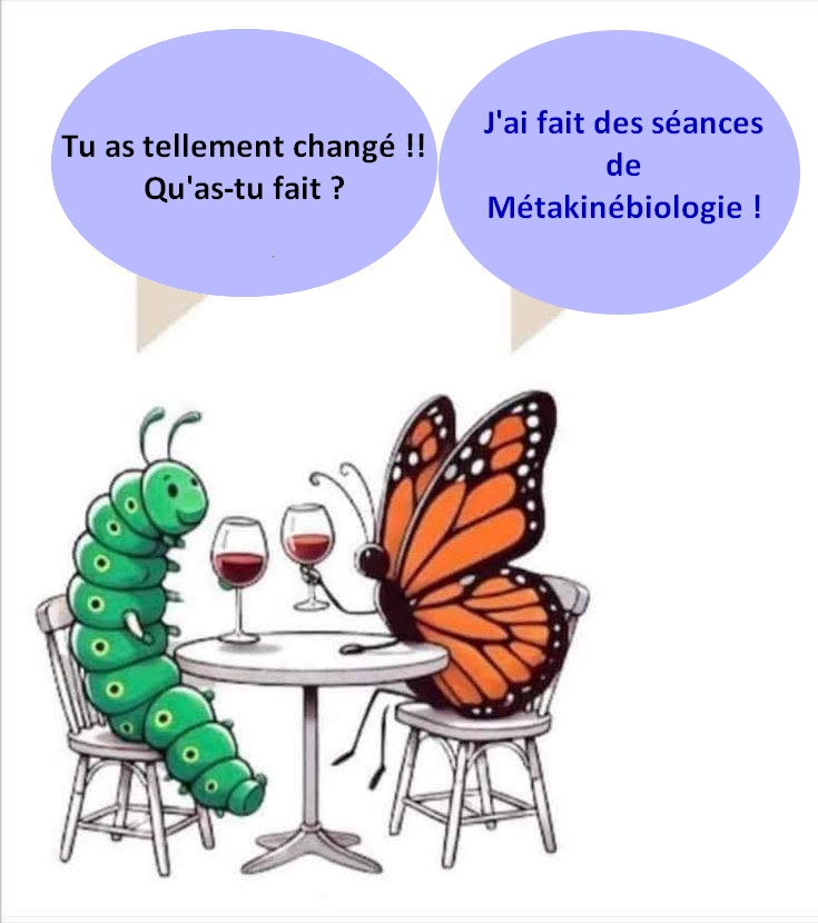 métakinébiologie kinésiologie
